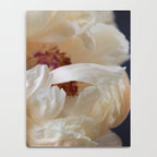 Pearl Notebook Gallery Image 4