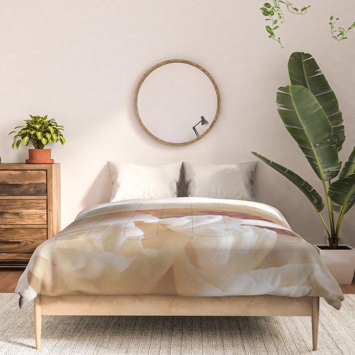 Pearl Comforter Gallery Image 3