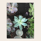 Plant Collection Notebook Gallery Image 4