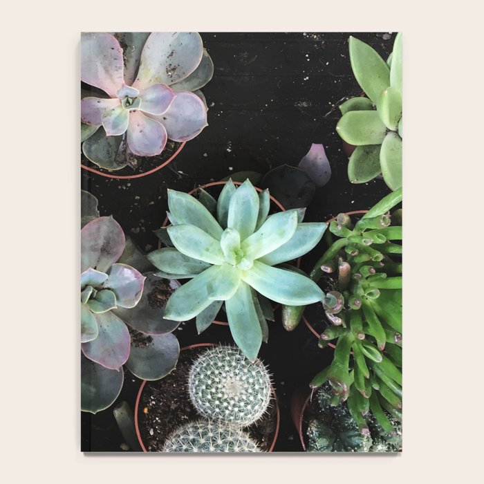 Plant Collection Notebook Gallery Image 4