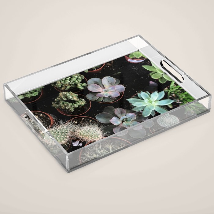 Plant Collection Acrylic Tray Gallery Image 1