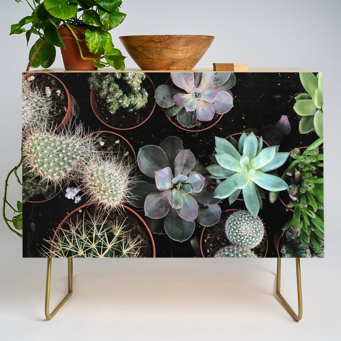 Plant Collection Credenza Gallery Image 1