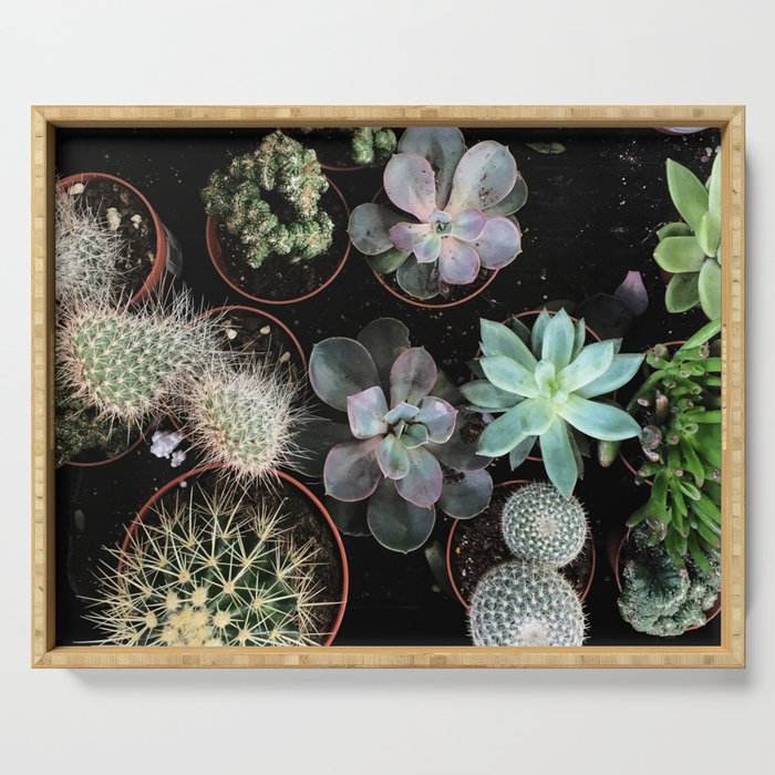 Plant Collection Serving Tray Gallery Image 1