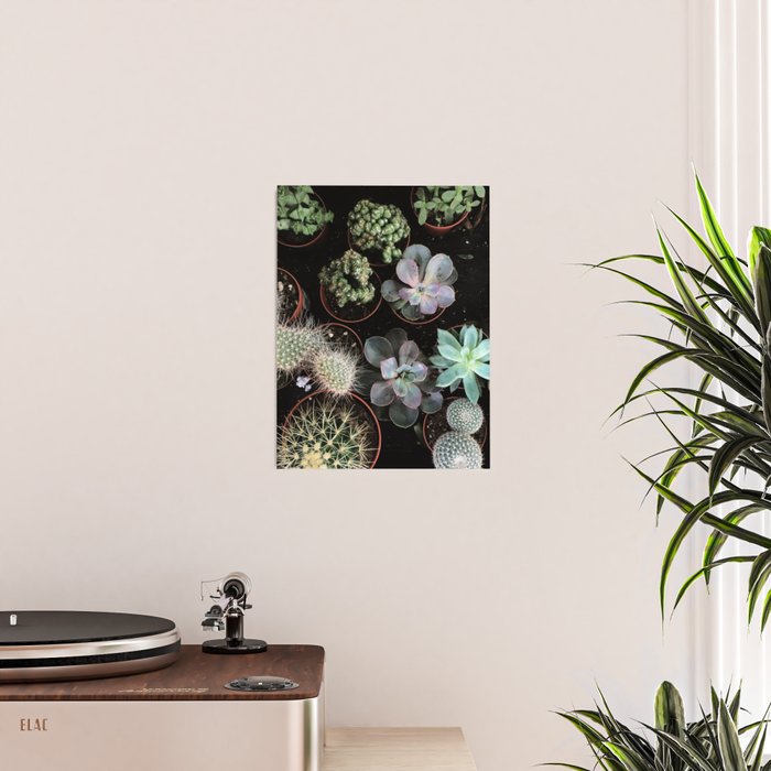 Plant Collection Poster Gallery Image 2