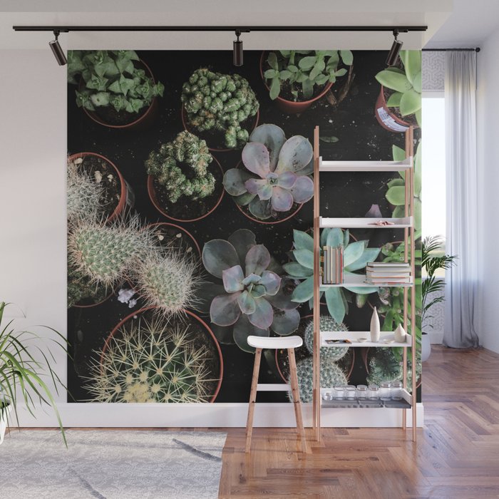 Plant Collection Wall Mural Gallery Image 1