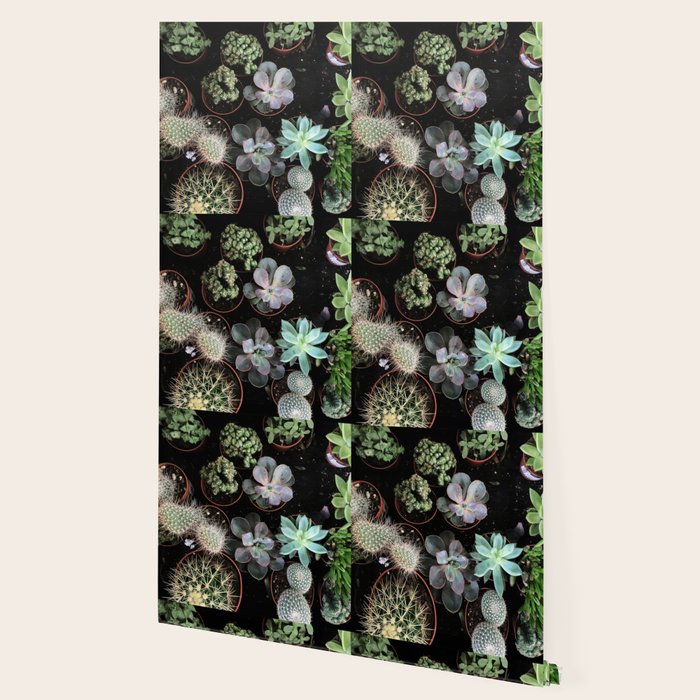 Plant Collection Wallpaper Gallery Image 2