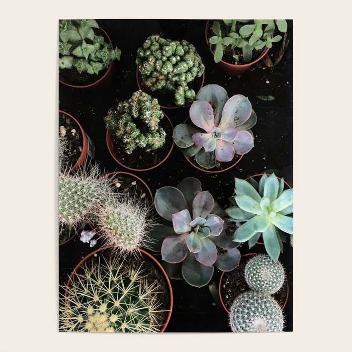 Plant Collection Poster Gallery Image 4