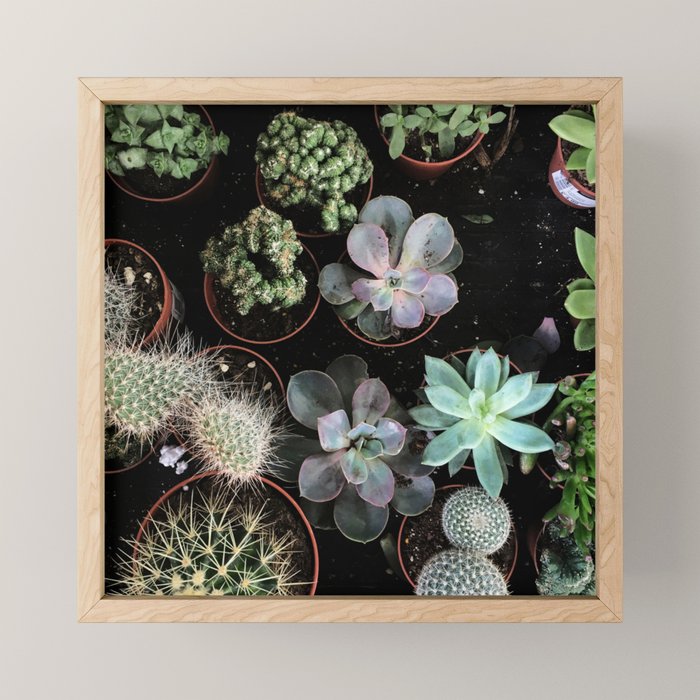 Plant Collection Mini Art Print Gallery Image 1