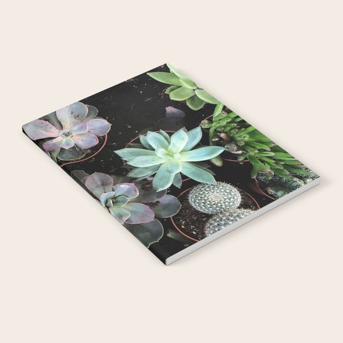 Plant Collection Notebook Gallery Image 1