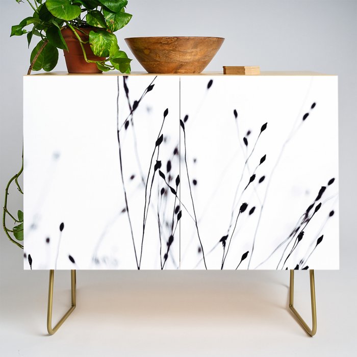BLACK GRASS Credenza Gallery Image 1