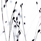 BLACK GRASS Coffee Mug Gallery Image 2