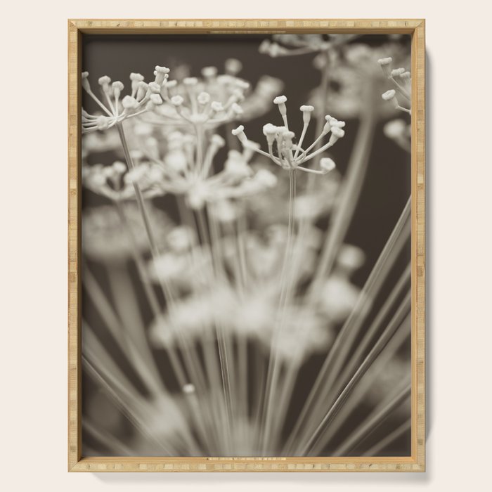 Dill Botanical Abstract 2 Serving Tray Gallery Image 1