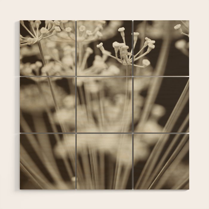 Dill Botanical Abstract 2 Wood Wall Art Gallery Image 1