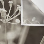 Dill Botanical Abstract 2 Wall Tapestry Gallery Image 3