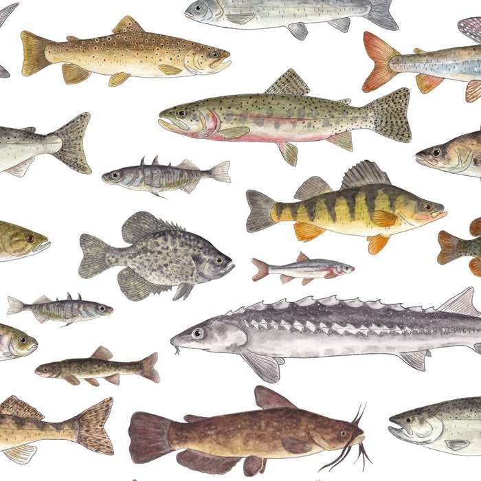 Northwest Freshwater Fish Coffee Mug Gallery Image 2