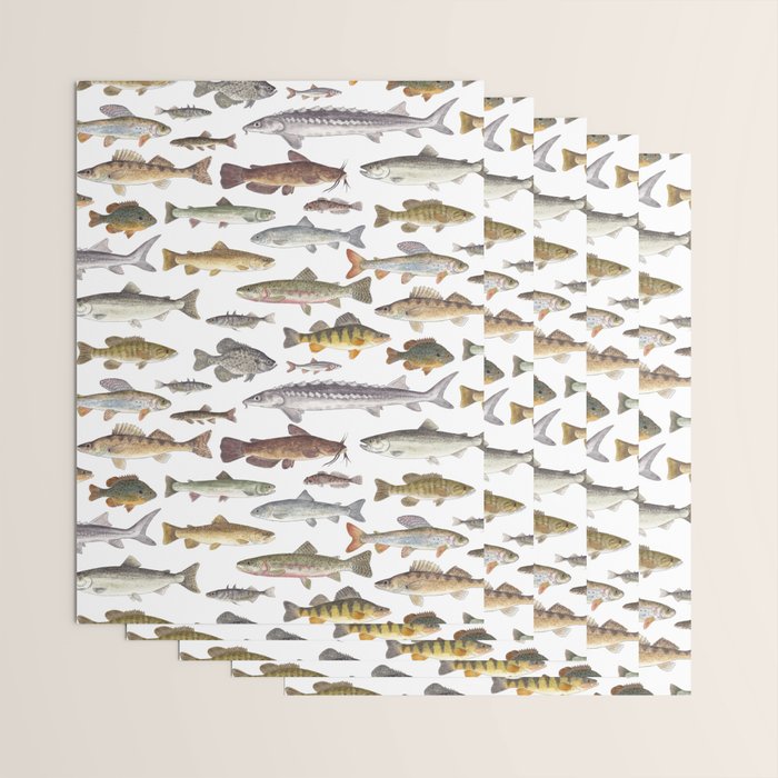 Northwest Freshwater Fish Wrapping Paper Gallery Image 3