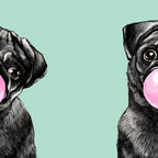 Bubble Gum Black Pug in Green Coffee Mug Gallery Image 2