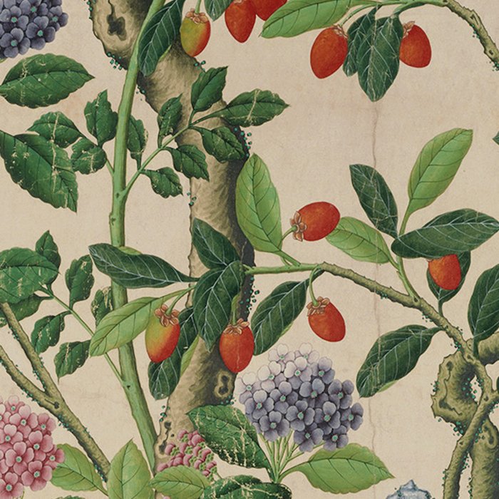 Antique 18th Century Chinoiserie Camellia Fruit Garden Coffee Mug Gallery Image 2