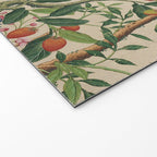 Antique 18th Century Chinoiserie Camellia Fruit Garden Welcome Mat Gallery Image 2