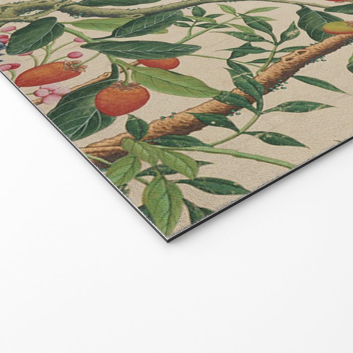 Antique 18th Century Chinoiserie Camellia Fruit Garden Welcome Mat Gallery Image 2