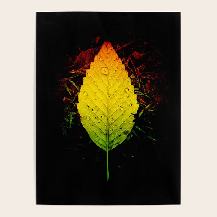 Life and Loss Are One Poster Gallery Image 4