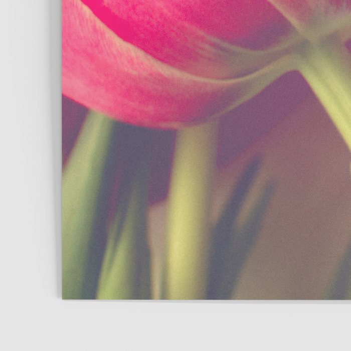 Tulip Poster Gallery Image 3