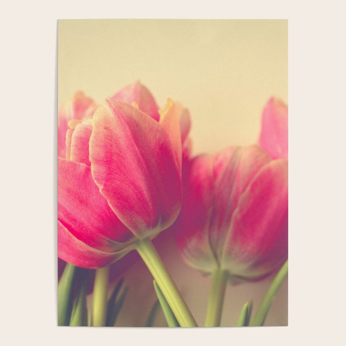 Tulip Poster Gallery Image 1