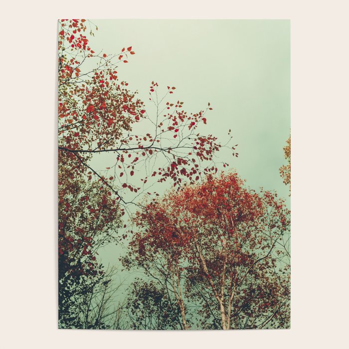 Autumn Memories Poster Gallery Image 1