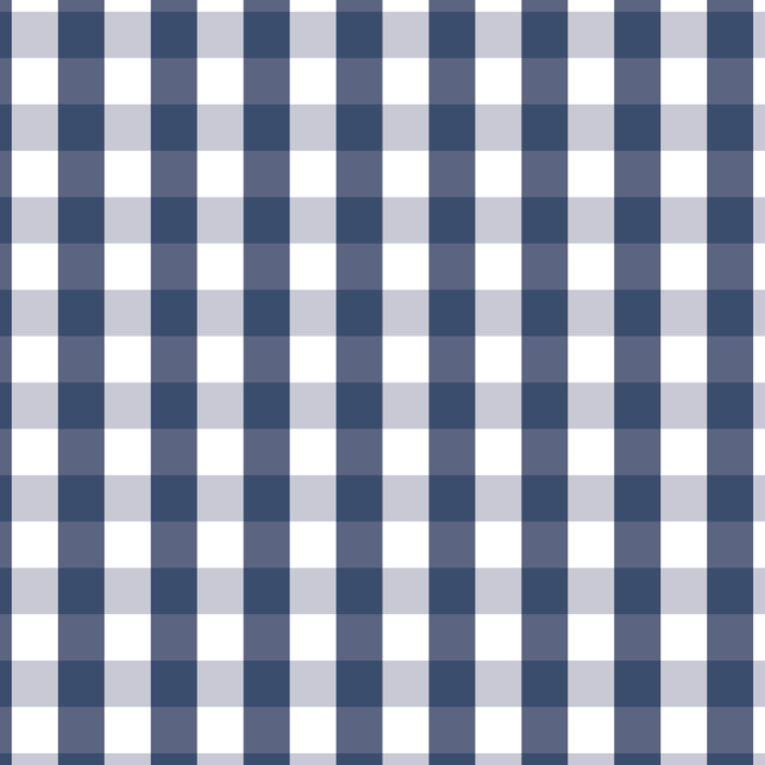 Southern Navy Gingham Coffee Mug Gallery Image 2