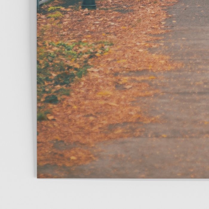 Autumn Sidewalk II Poster Gallery Image 3