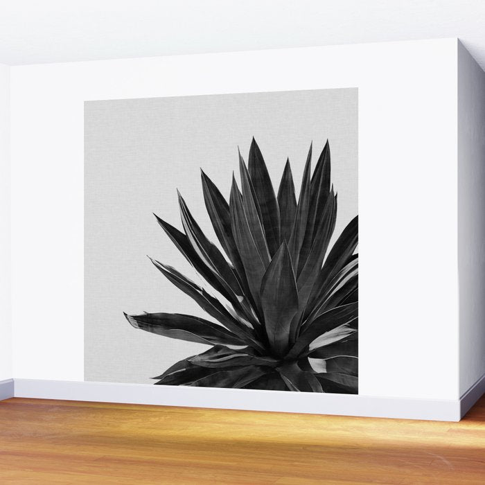 Agave Cactus Black & White Wall Mural Gallery Image 2