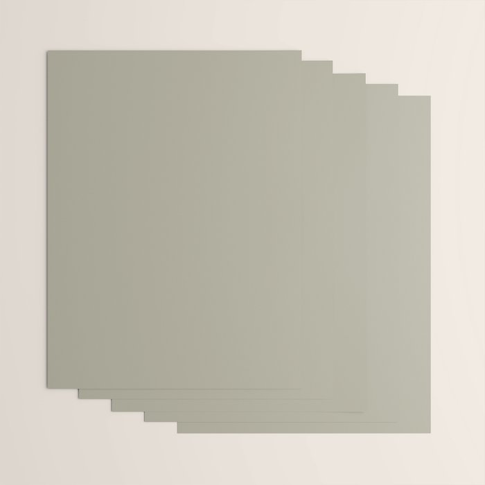 Neutral Mushroom Solid Color Wrapping Paper Gallery Image 3