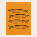 Sardine Fish Poster Gallery Image 4