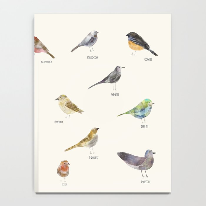 little nature birds Notebook Gallery Image 4