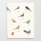 little nature birds Notebook Gallery Image 4