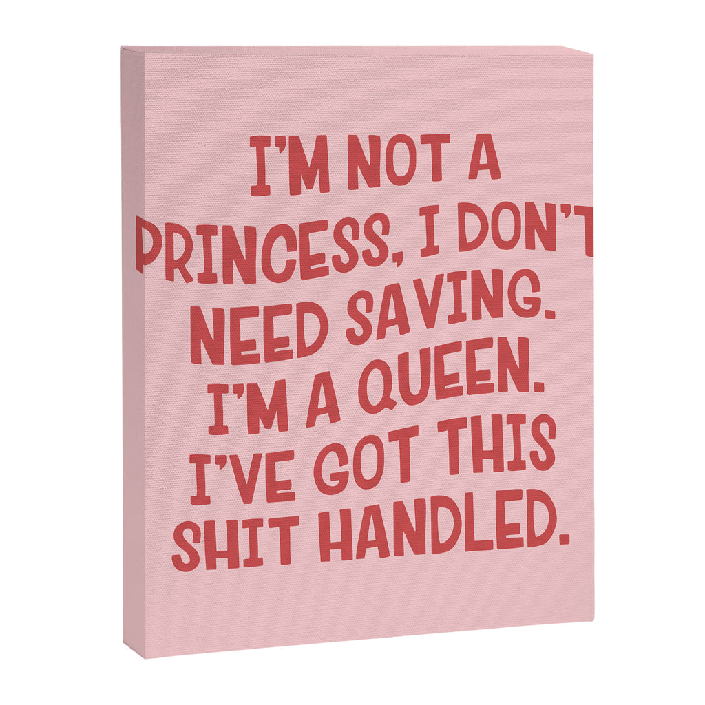 I've Got This Shit Handled, Funny,  Saying Canvas Print Gallery Image 8