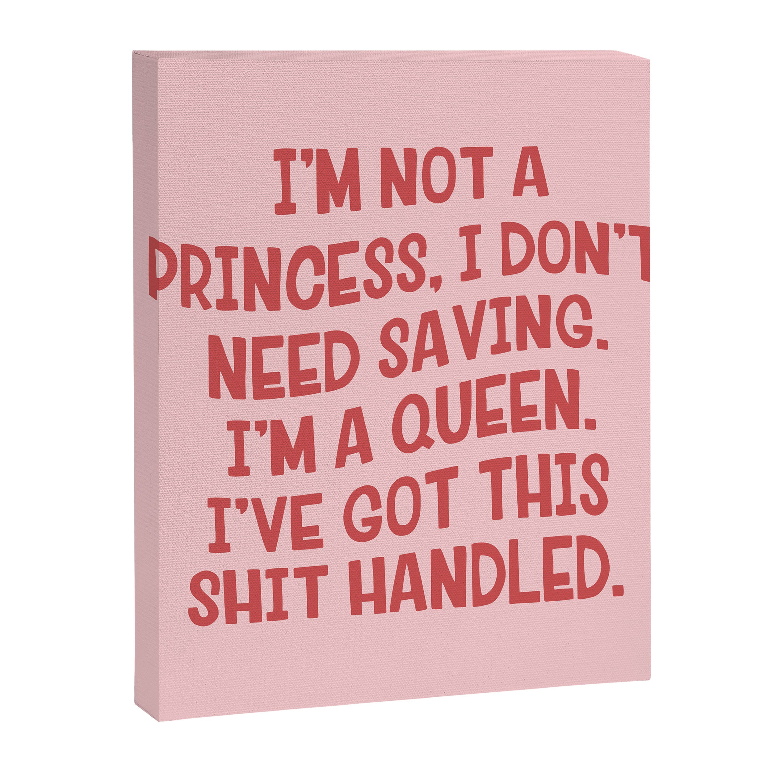 I've Got This Shit Handled, Funny,  Saying Canvas Print Gallery Image 8