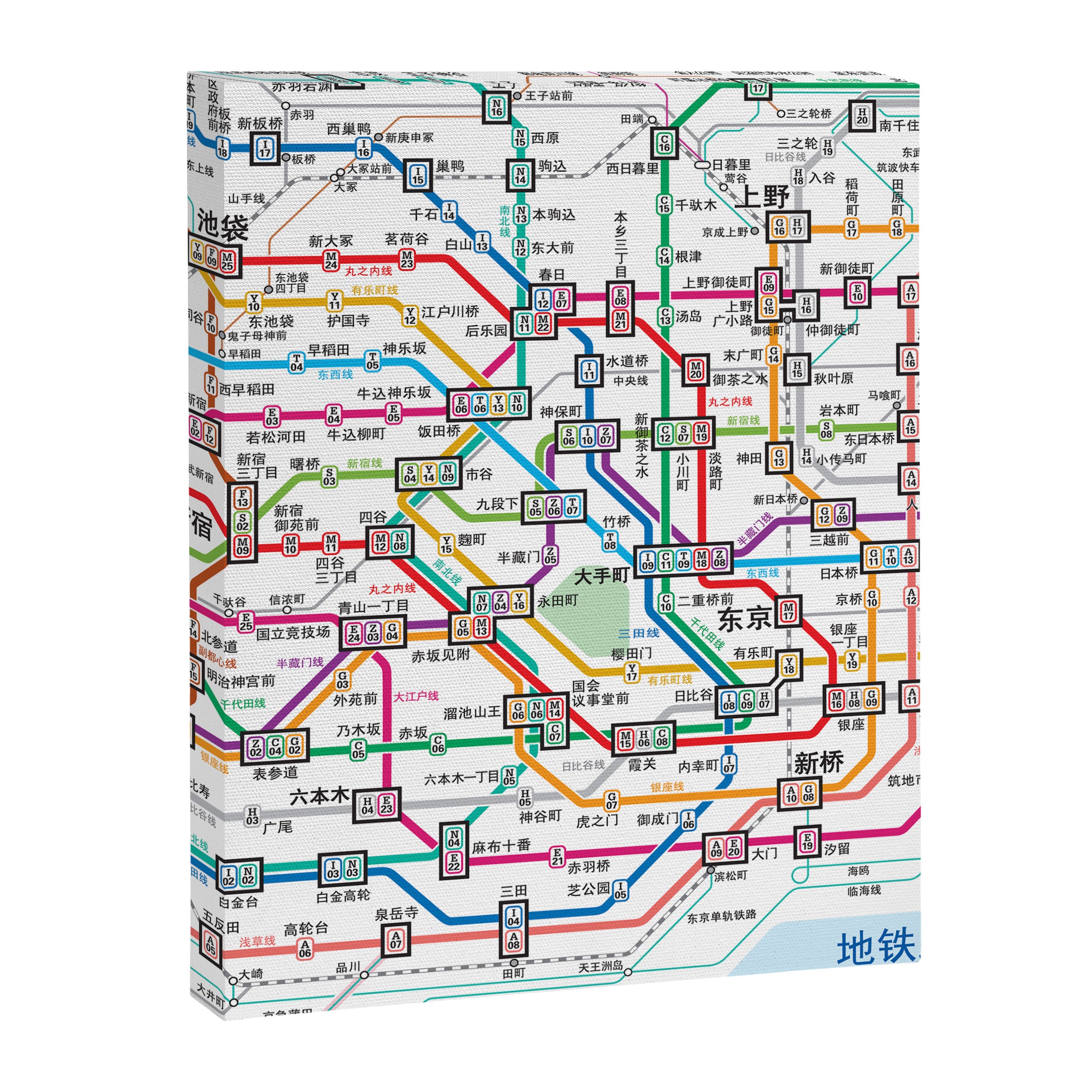 Tokyo Subway Map Canvas Print Gallery Image 6