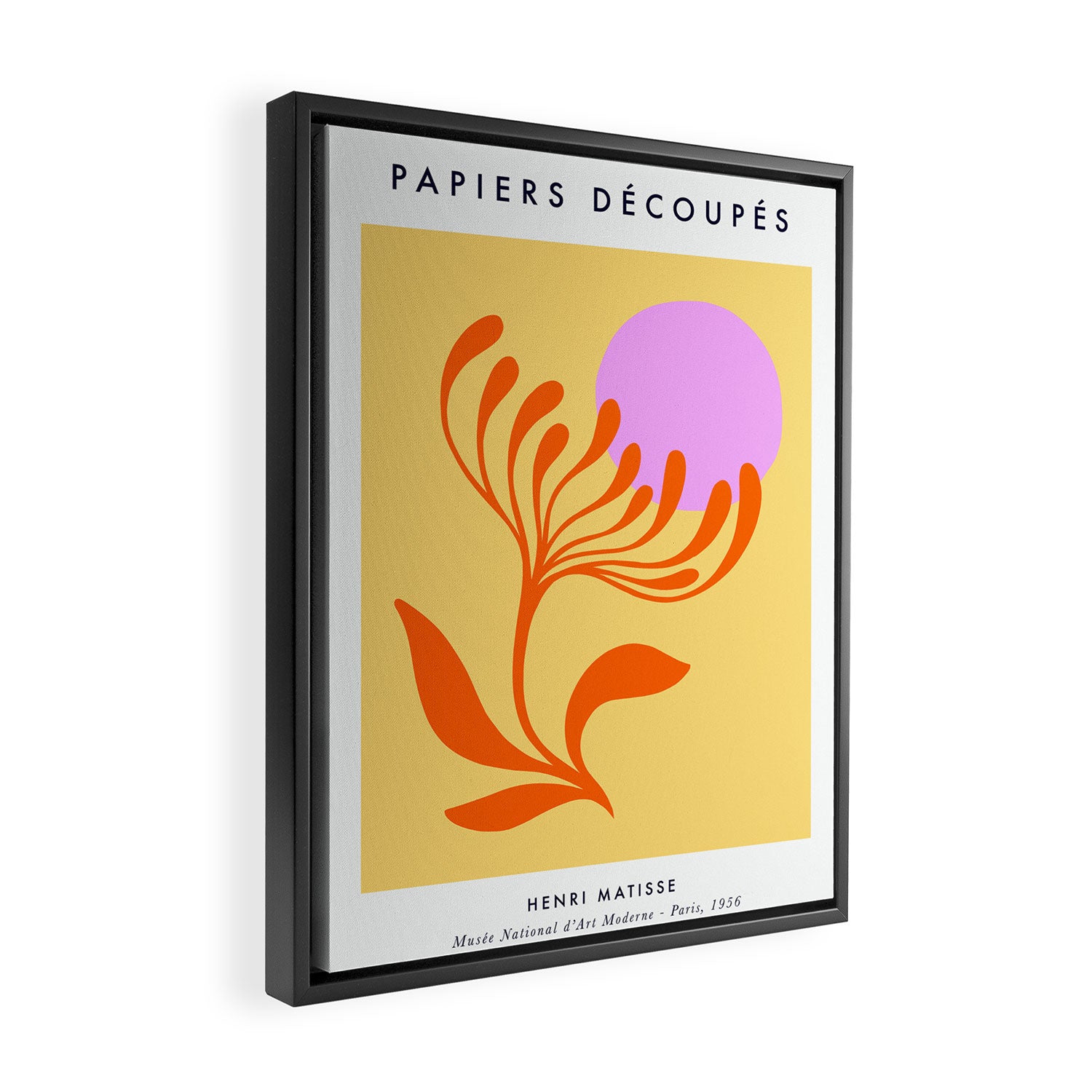Matisse Poster 3. Flower & Sun cut-outs Framed Canvas Print Gallery Image 2