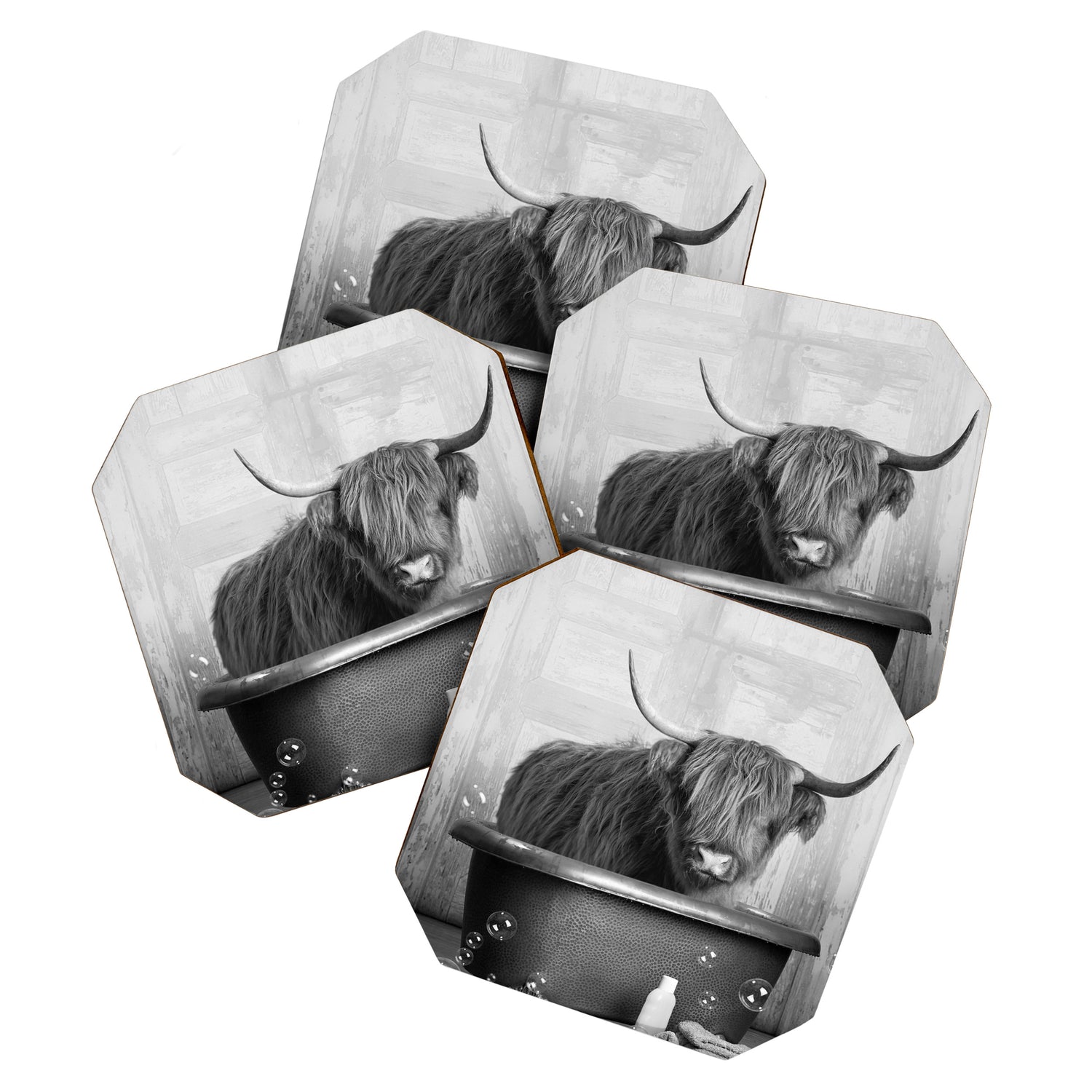 Highland Cow in the Tub Coaster Gallery Image 1