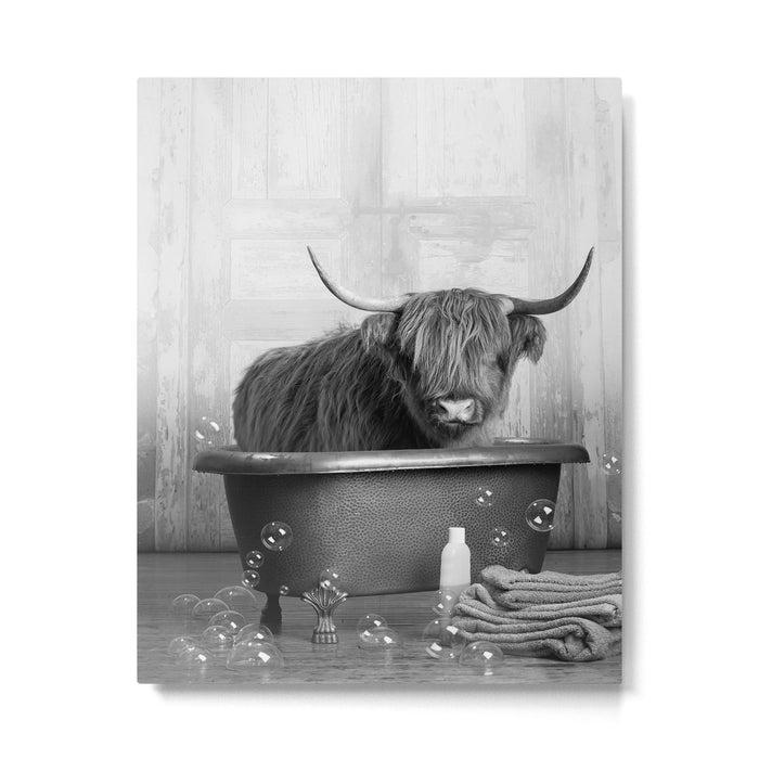 Highland Cow in the Tub Metal Print Gallery Image 1