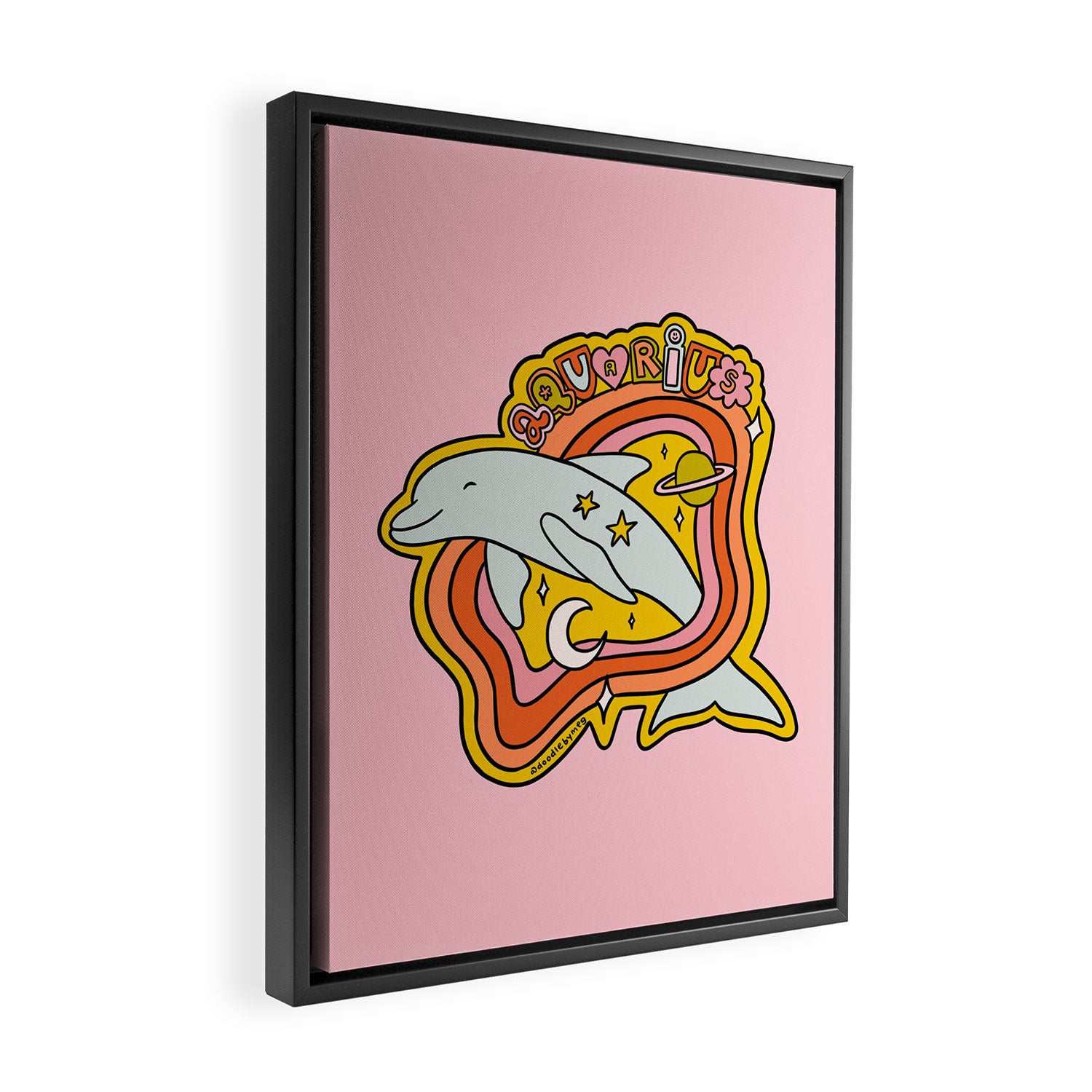 Aquarius Dolphin Framed Canvas Print Gallery Image 2
