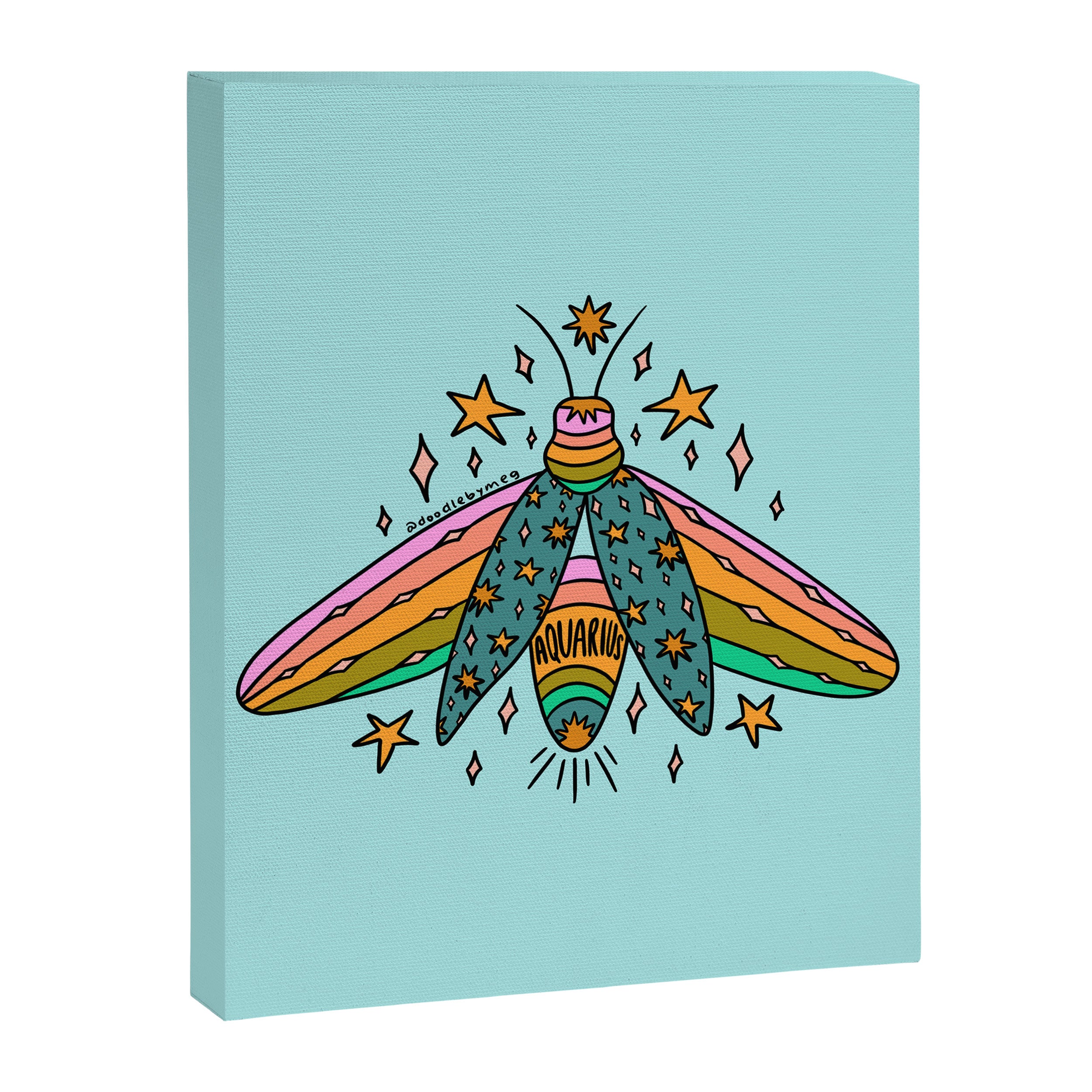 Aquarius Firefly Canvas Print Gallery Image 8