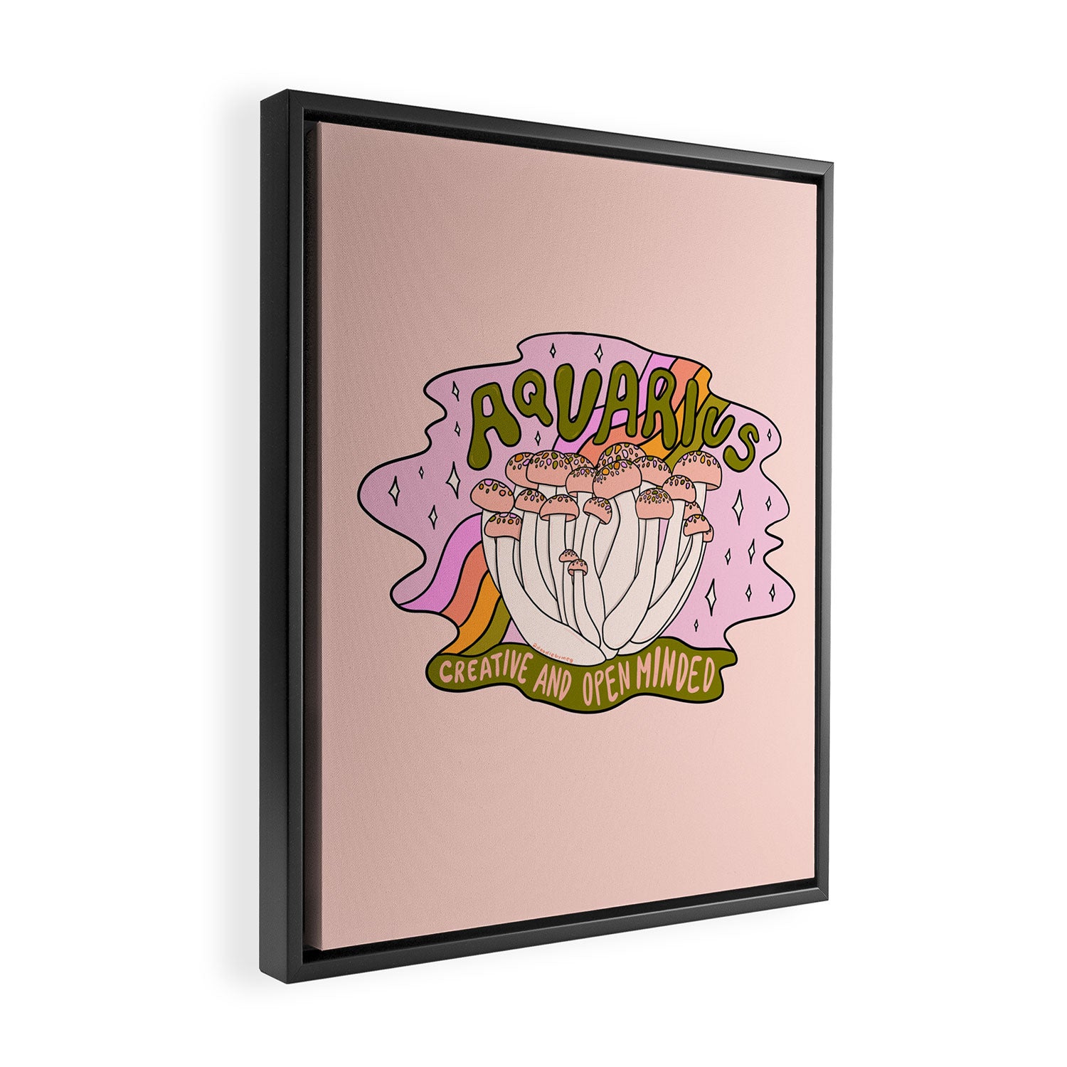 Aquarius Mushroom Framed Canvas Print Gallery Image 2