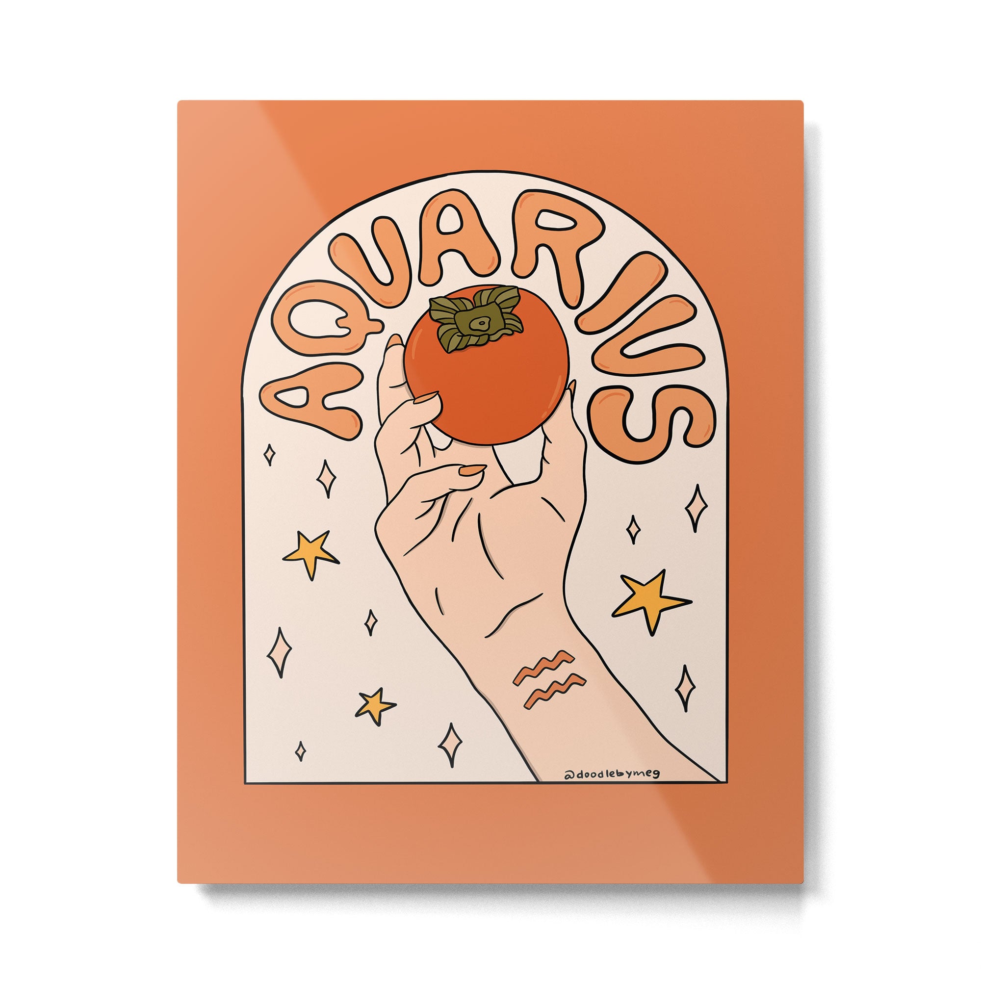 Aquarius Persimmon Metal Print Gallery Image 6
