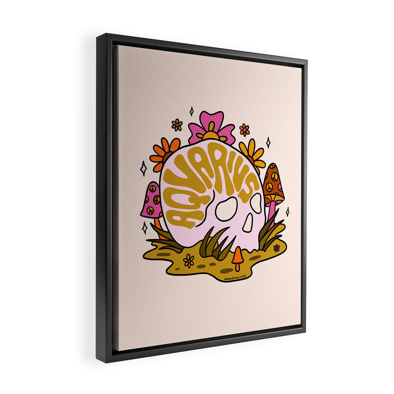 Aquarius Skull Framed Canvas Print Gallery Image 2