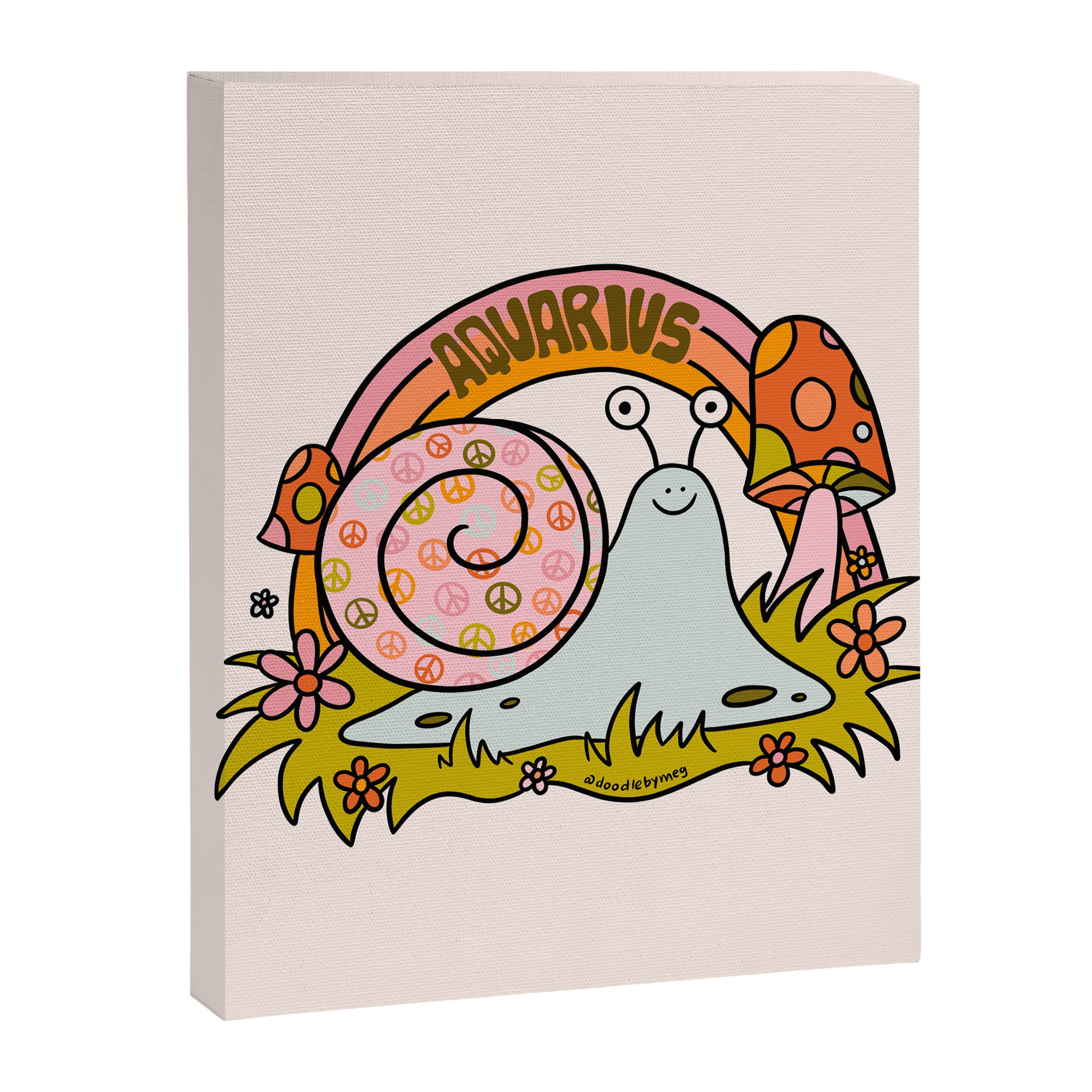 Aquarius Snail Canvas Print Gallery Image 8