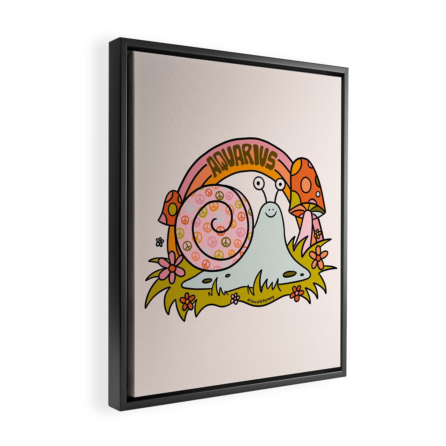 Aquarius Snail Framed Canvas Print Gallery Image 2