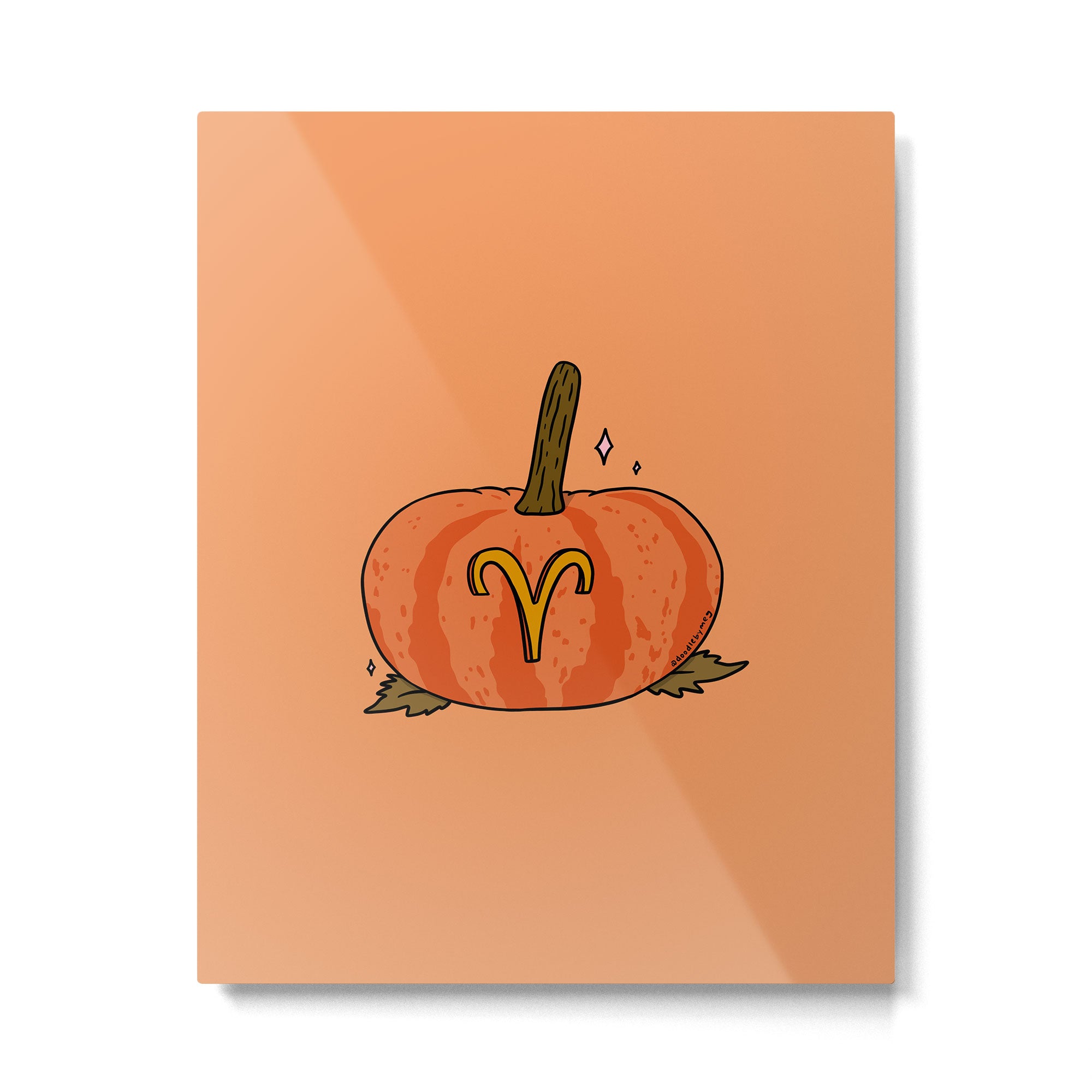 Aries Pumpkin Metal Print Gallery Image 6