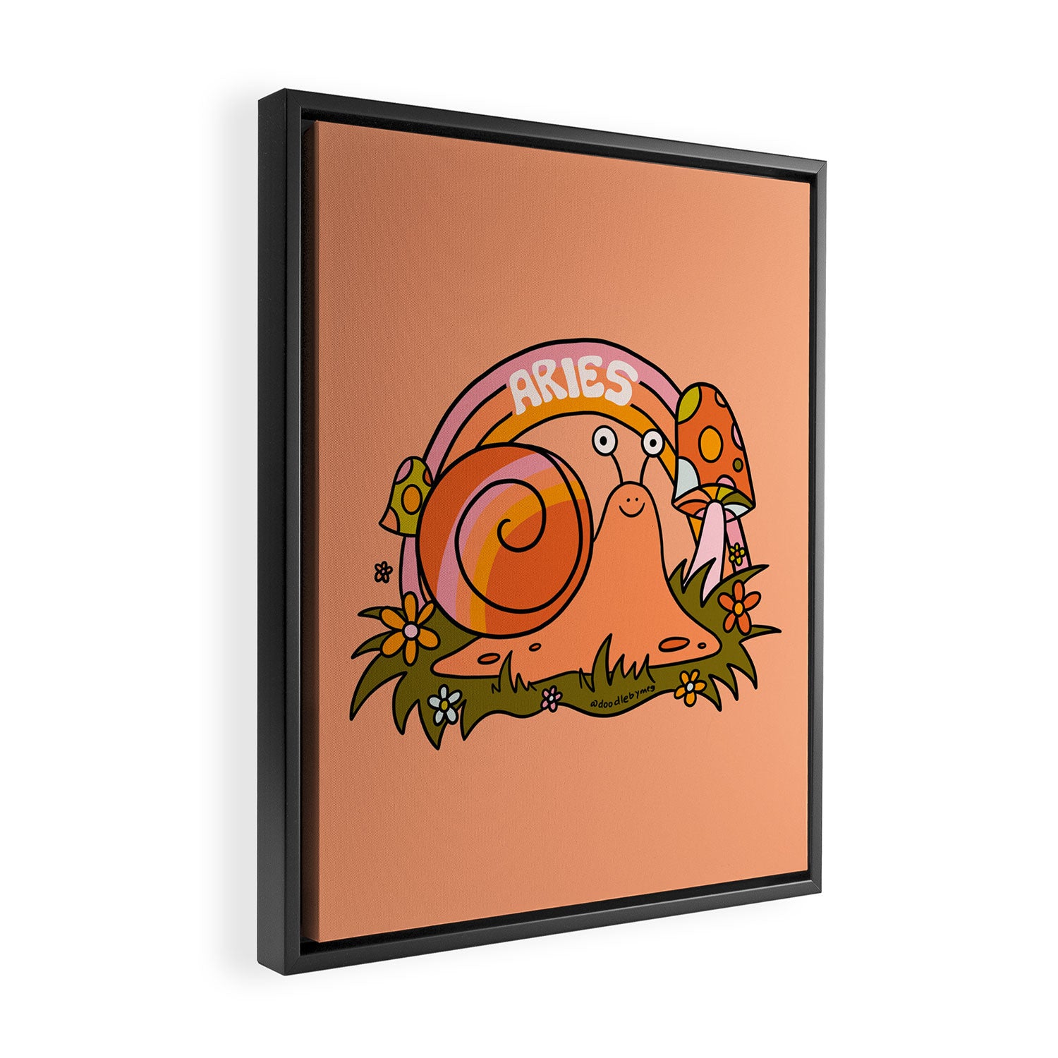 Aries Snail Framed Canvas Print Gallery Image 2